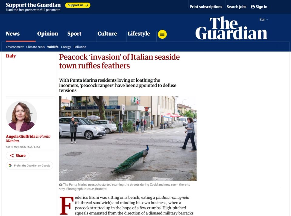 The Guardian