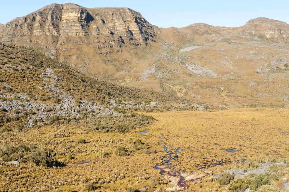 Wide mountain valley covered in golden vegetation