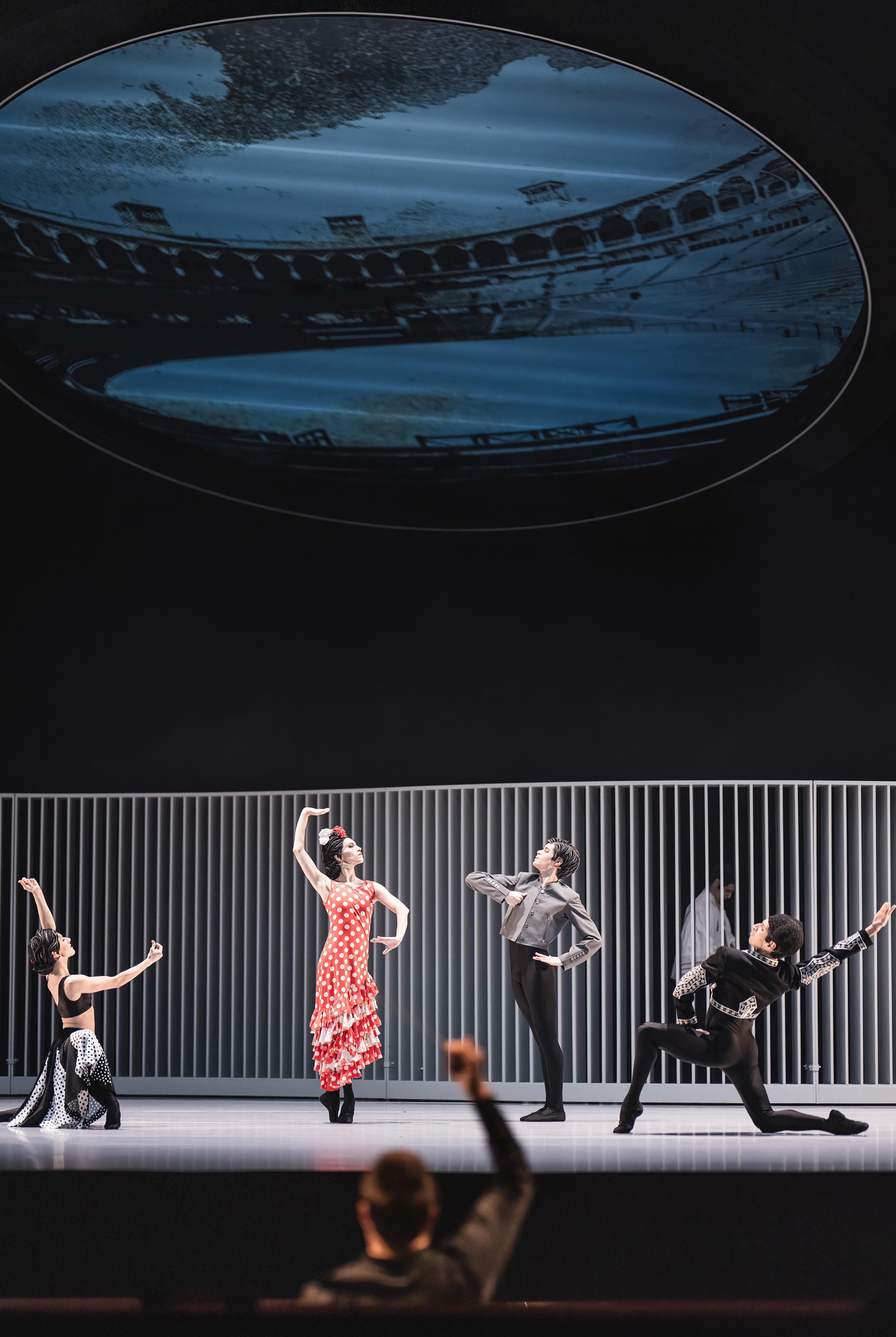 Swan Lake — 12