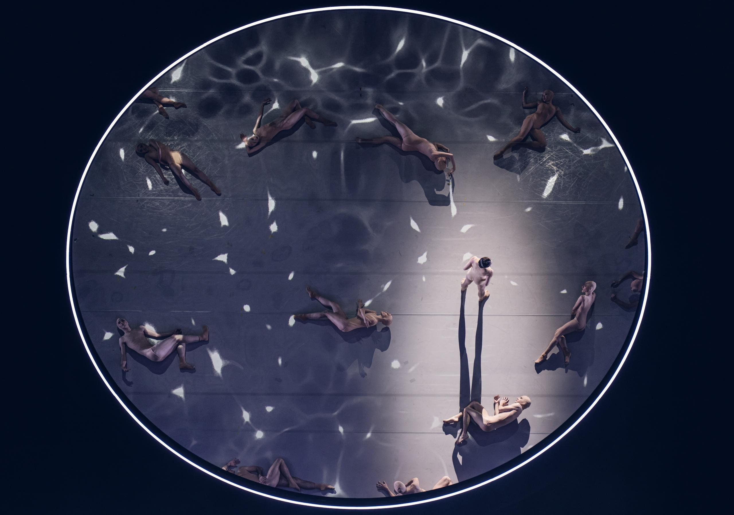Swan Lake — 5