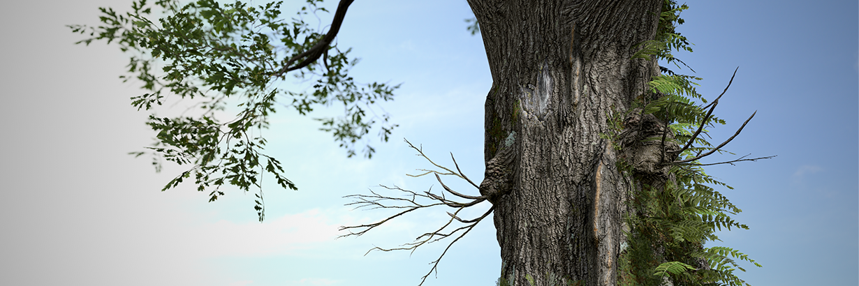 スピードツリー9.5プロシージャルなディテールでクリエイティブな