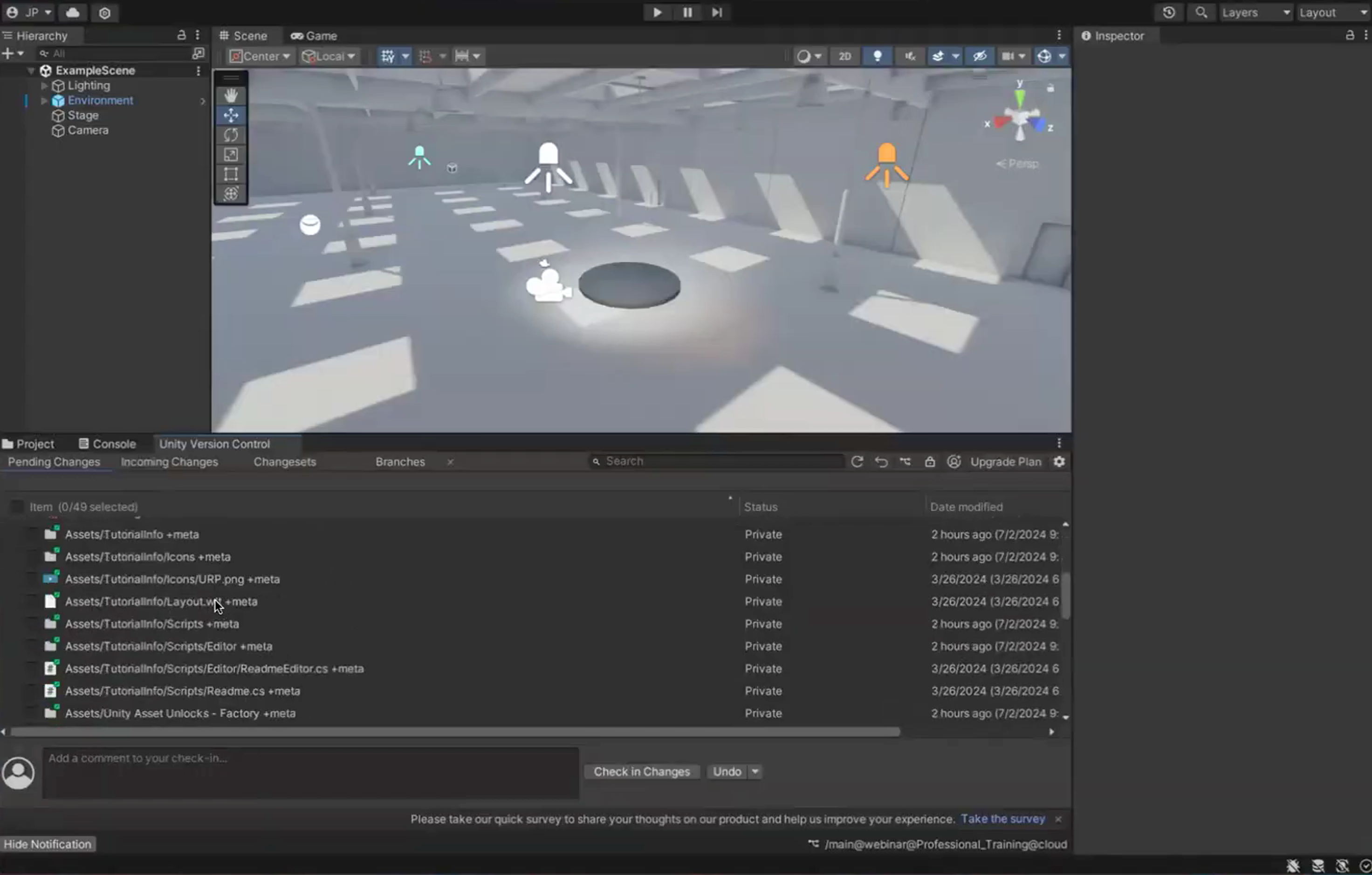 The tabs in Unity Version Control
