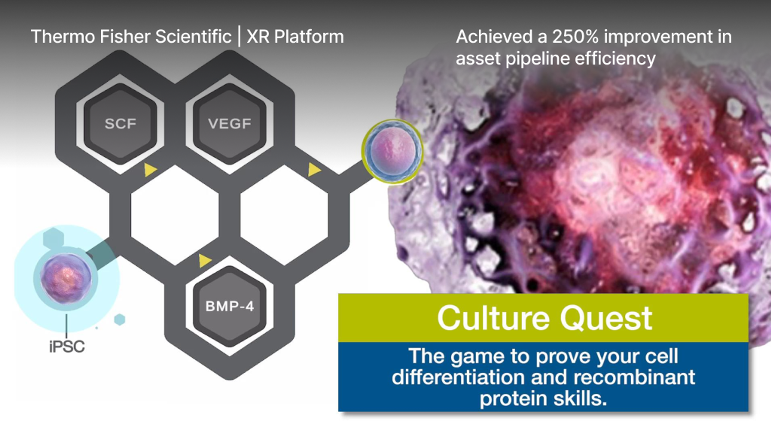 XR プラットフォーム - Thermo Fisher Scientific