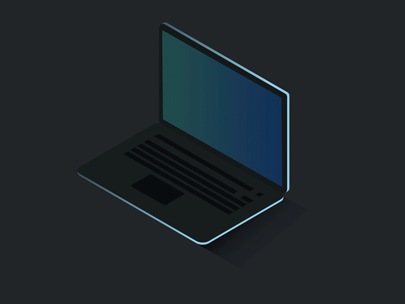 Software Developer