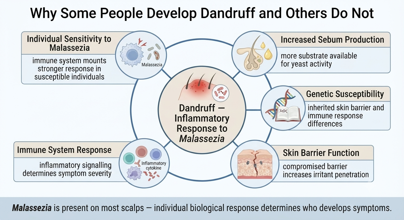 Diagram showing the interacting factors that determine individual susceptibility