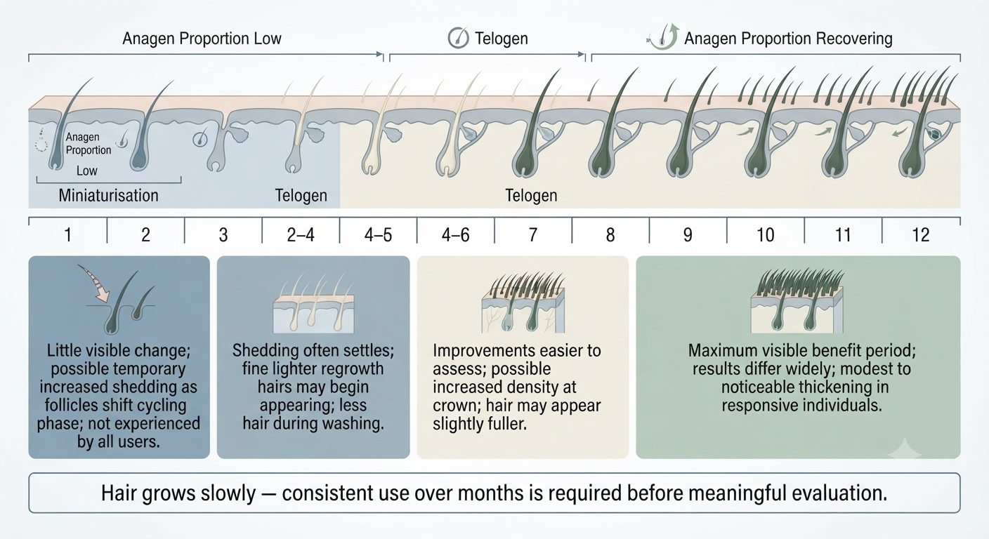 Month-by-month timeline of expected changes during minoxidil treatment