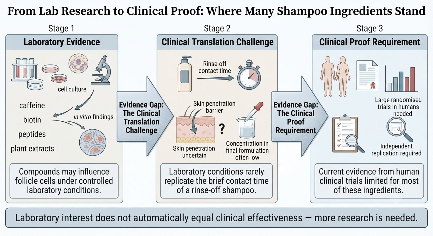 Diagram showing gap between laboratory findings and clinical evidence for cosmetic shampoo ingredients