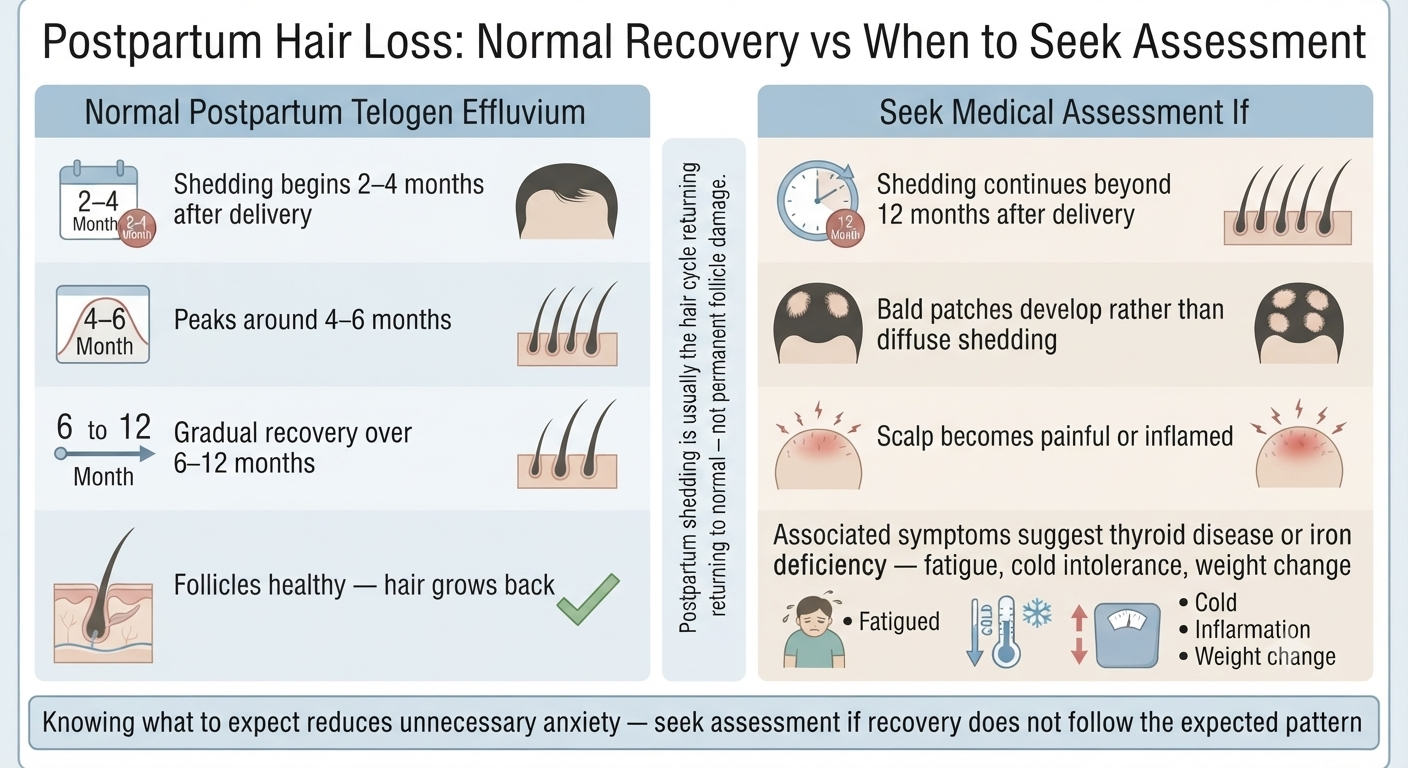 Summary diagram of when postpartum hair loss is normal vs when to seek assessment