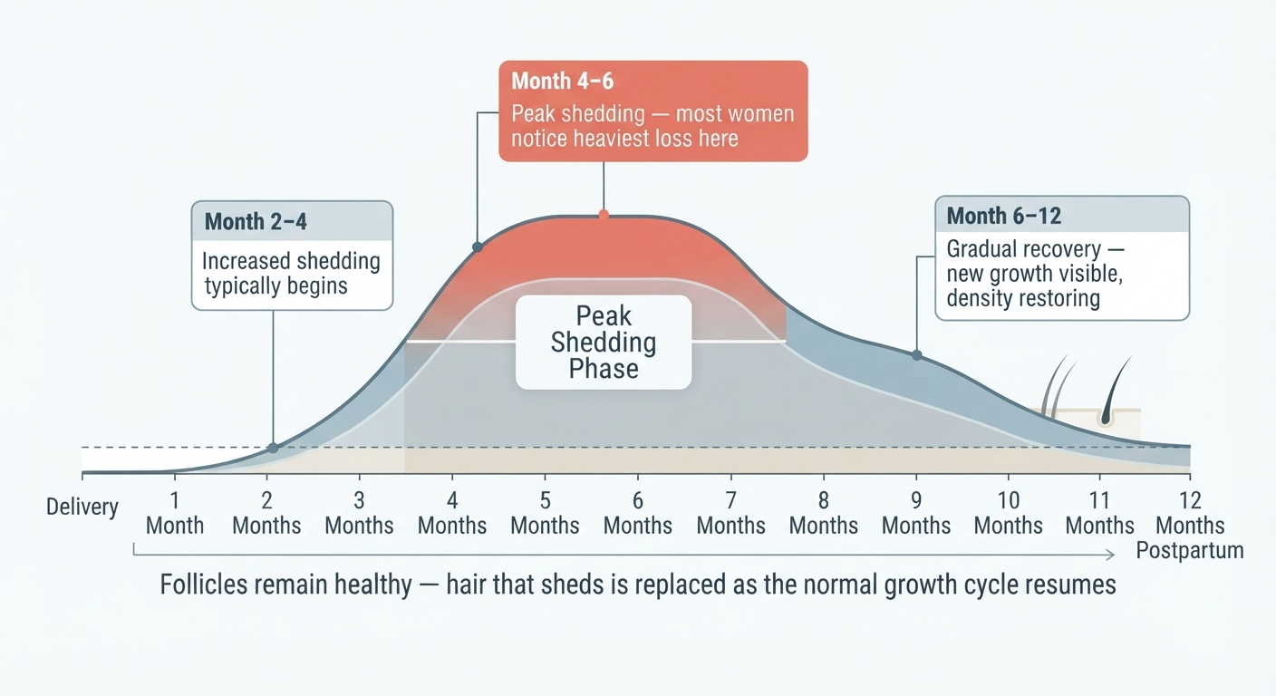 Shedding timeline diagram with peak and resolution milestones