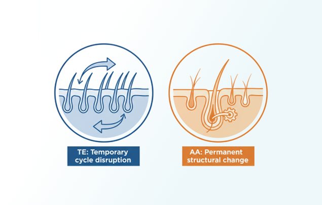TE vs AA