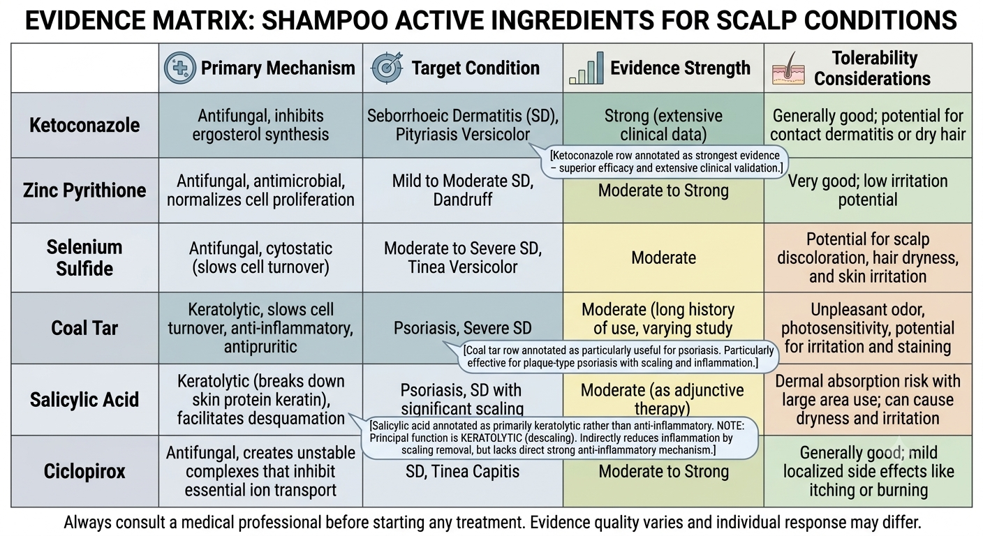 Evidence comparison diagram of key medicated shampoo ingredients