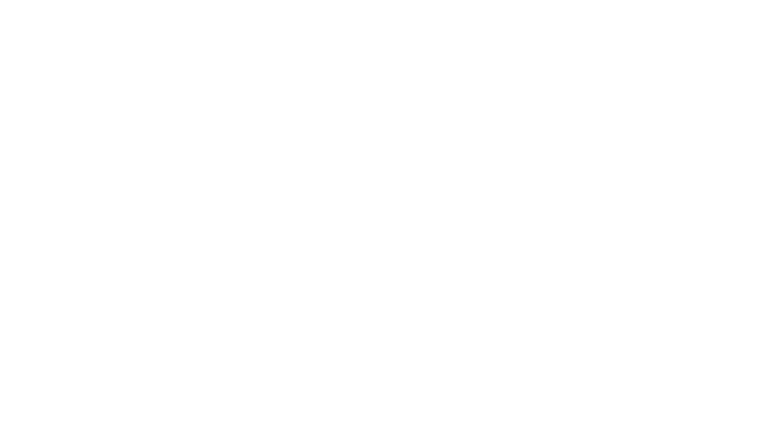 Ink