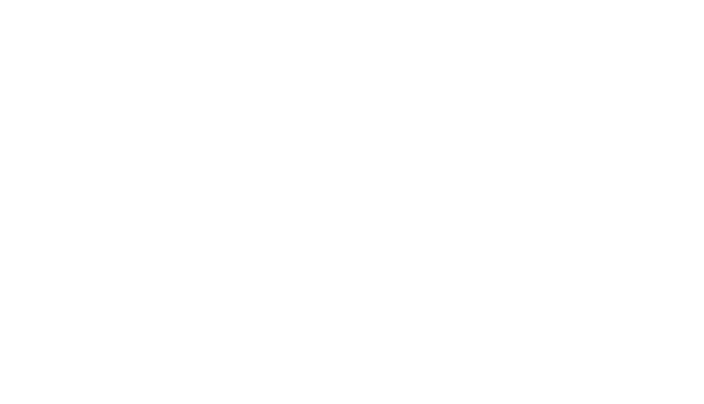 Vaip