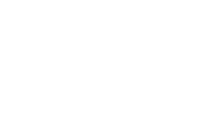Londa International