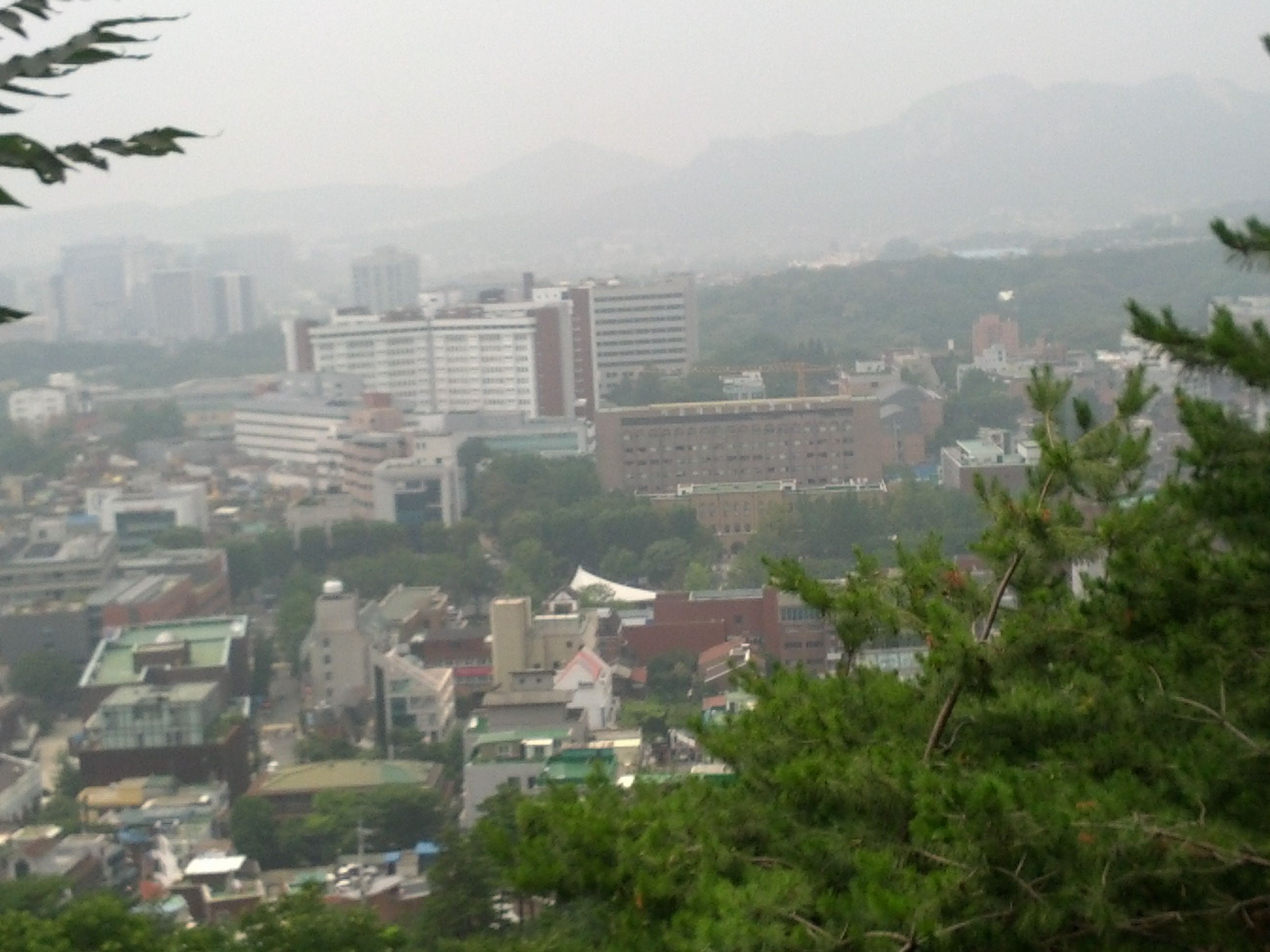Khuôn viên Đại học Quốc gia Seoul nhìn từ công viên Naksan