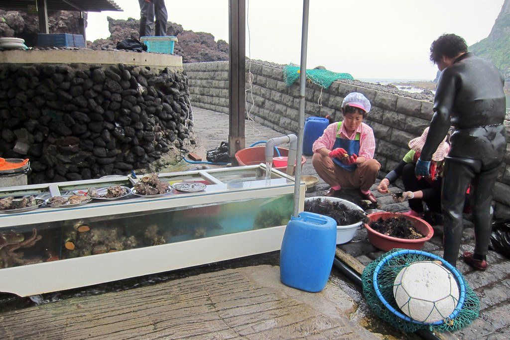 Những nữ thợ lặn haenyeo Jeju trong bộ đồ lặn bên mẻ hải sản vừa thu hoạch