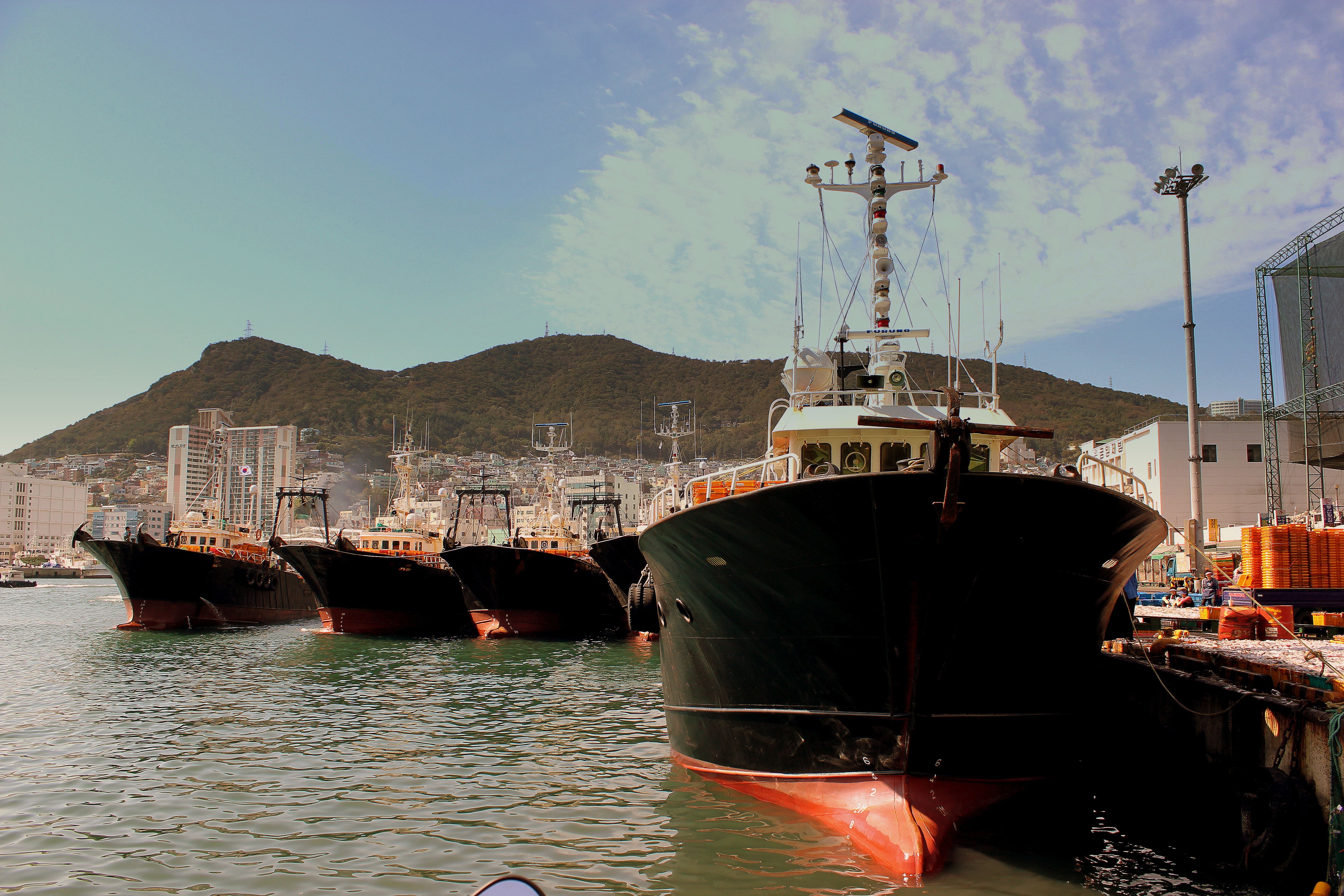 Đội tàu cá ở cảng Busan, Hàn Quốc