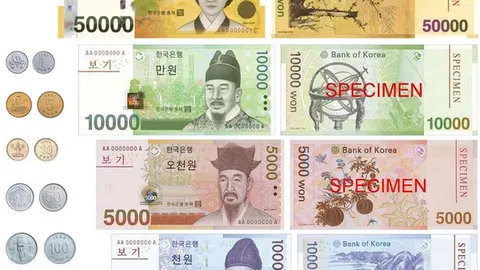 Các tờ tiền won Hàn Quốc xếp cạnh nhau — hình ảnh gợi câu hỏi: năng lực tiếng Hàn quy ra thu nhập là bao nhiêu?