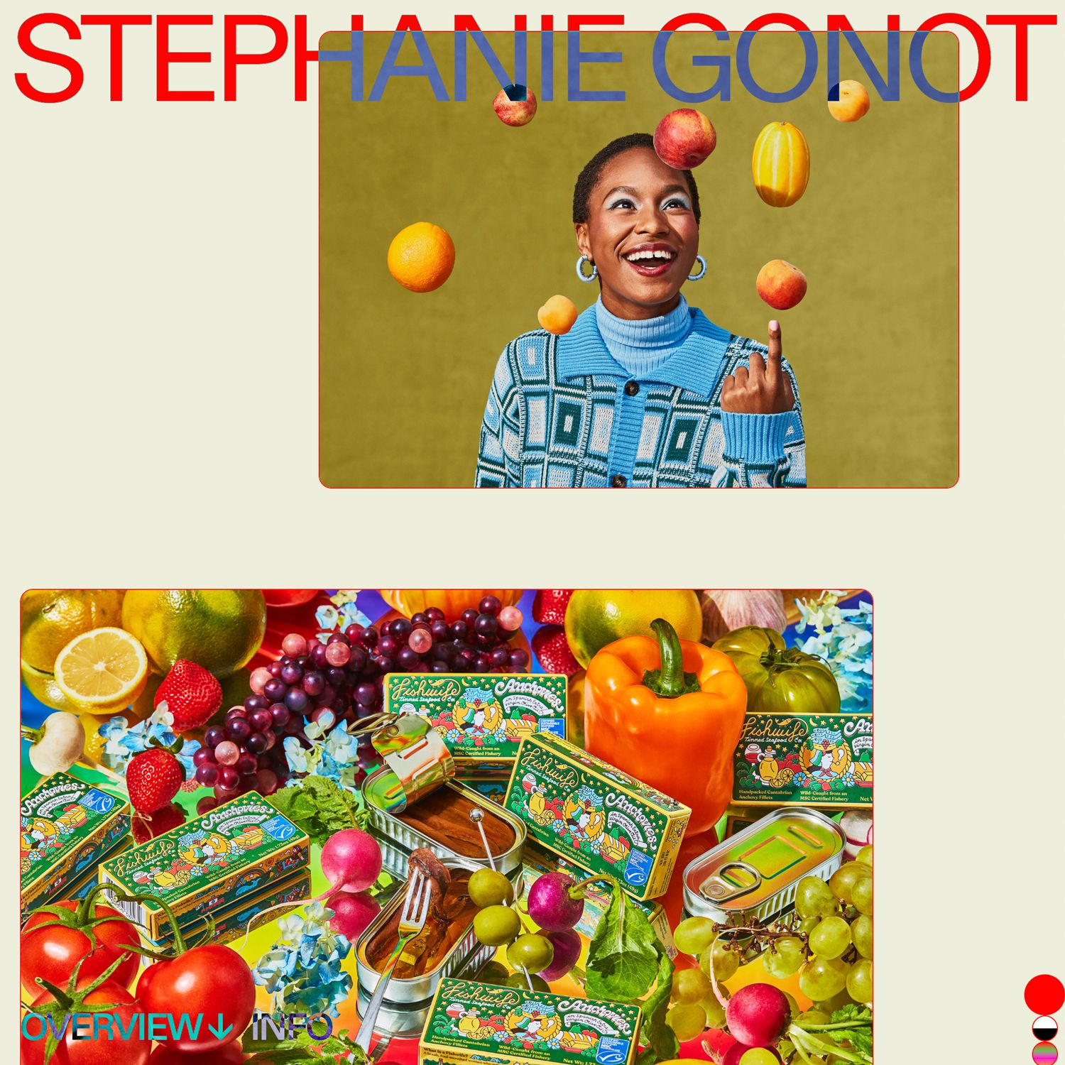 Stephanie Gonot website