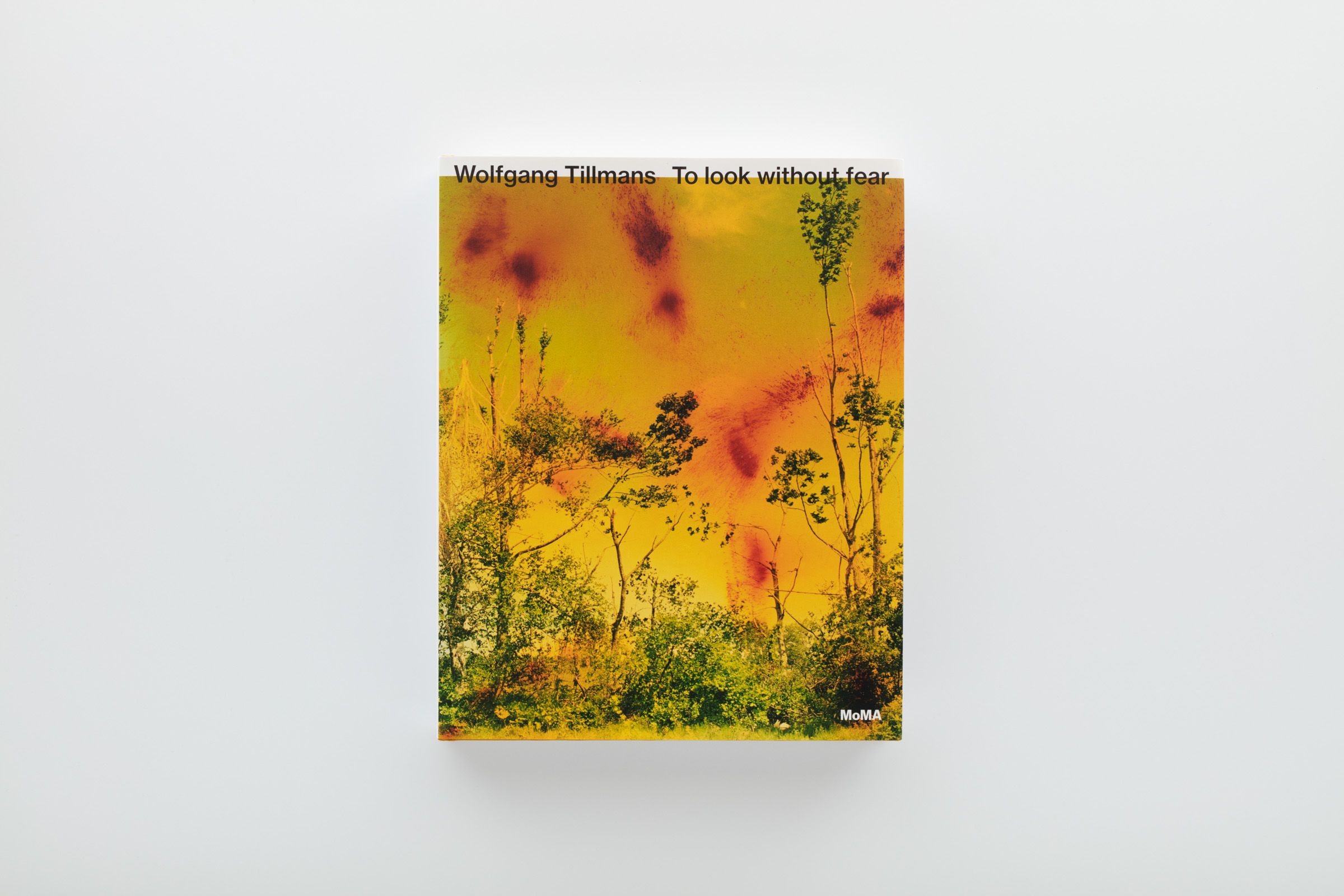 Wolfgang Tillmans 写真集 Wolfgang Tillmans Photographs
