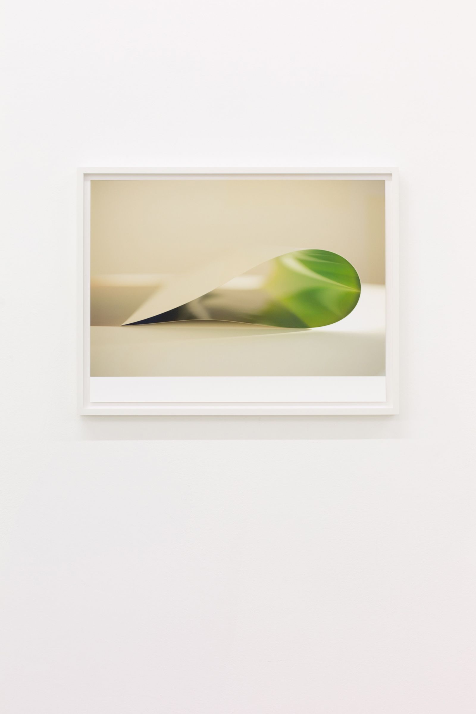 Wolfgang Tillmans