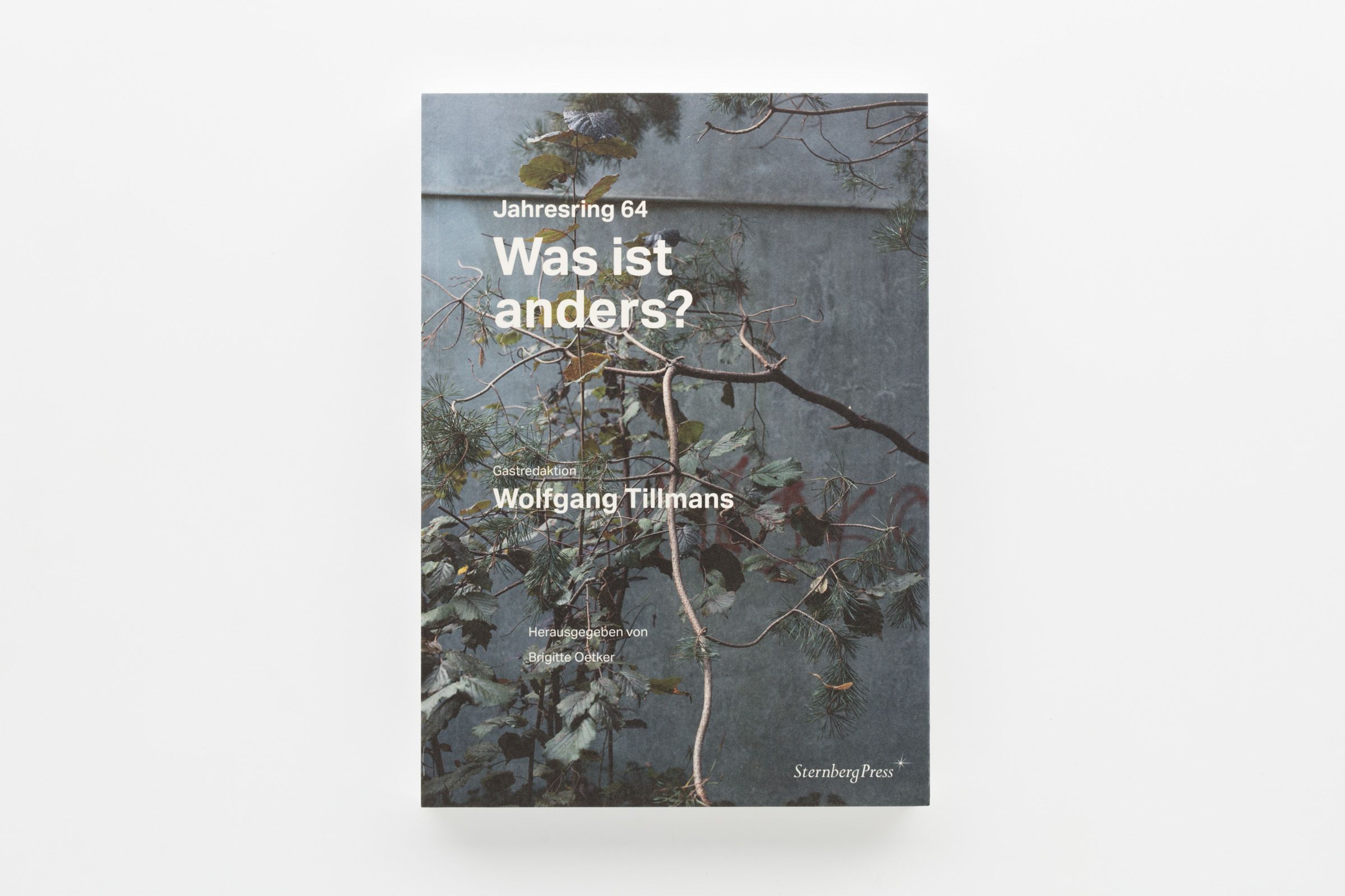 アート・デザイン・音楽 Jahresring 64 What Is Different? Jahresring 64 What Is Different? Wolfgang Tillmans : What Is