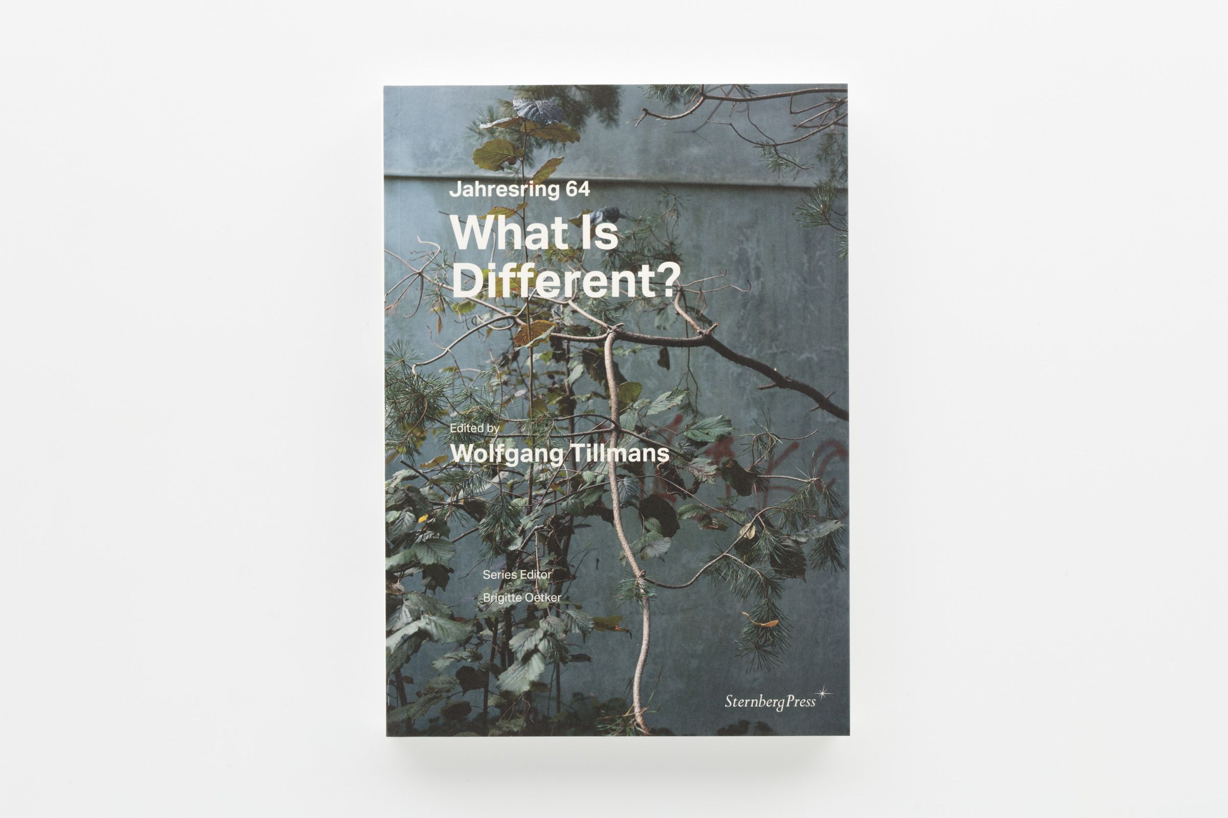 Wolfgang Tillmans - Manual | manual Tillmans: Books manual 