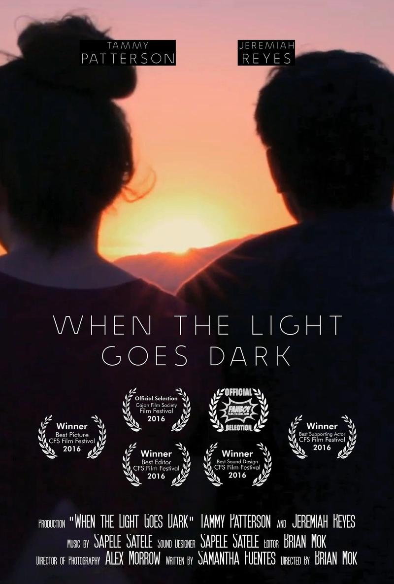 When the Light Goes Dark Poster