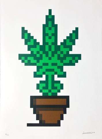 Hollyweed - Brown Pot - Space Invader