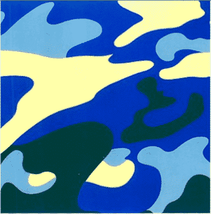 Camouflage 411 By Andy Warhol