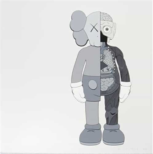 Dissected Companion Print (Grey) by Kaws