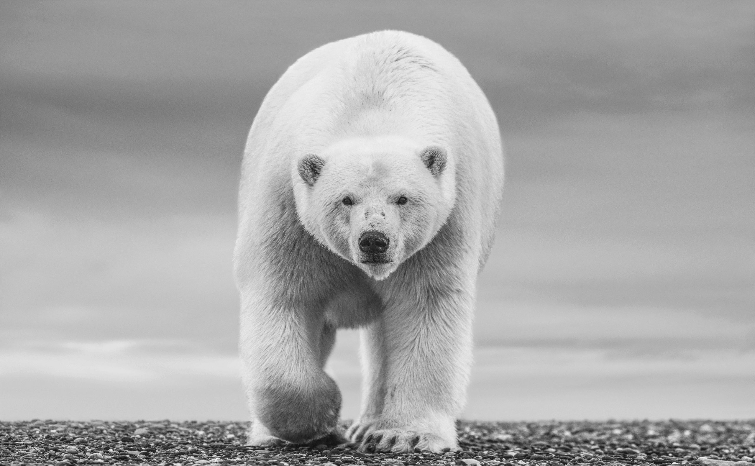 The North Slope by David Yarrow