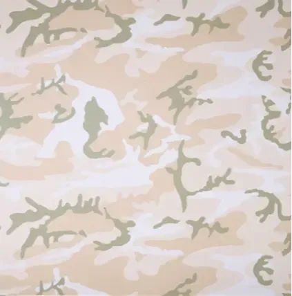 Camo TP (Beige) By Andy Warhol