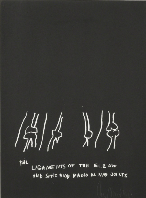 LIGAMENTS OF THE ELBOW, FROM ANATOMY (204) by Jean-Michel Basquiat