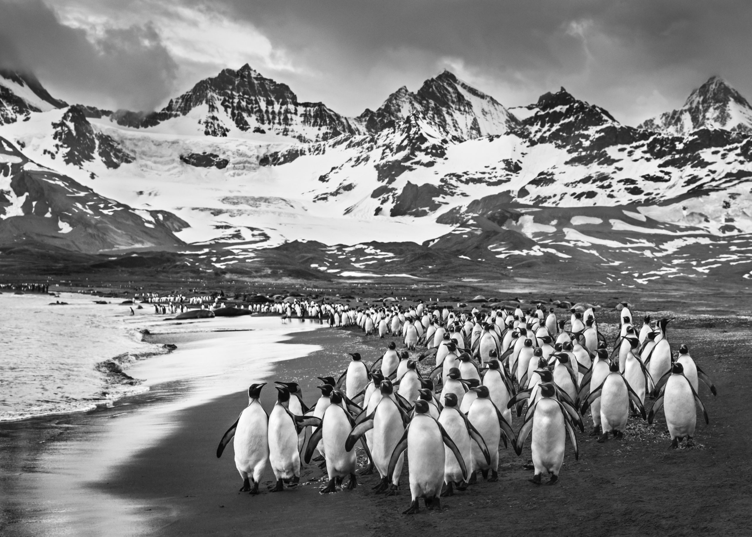 The Breakfast Club by David Yarrow