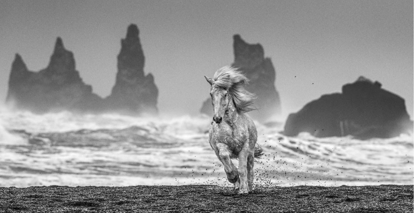 White Horses by David Yarrow