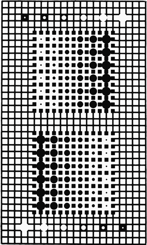 Bi-Supernovae by Victor Vasarely