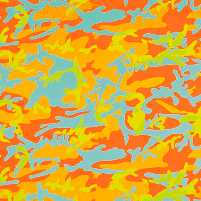 Camouflage 413 By Andy Warhol