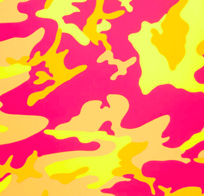 Camouflage 409 By Andy Warhol