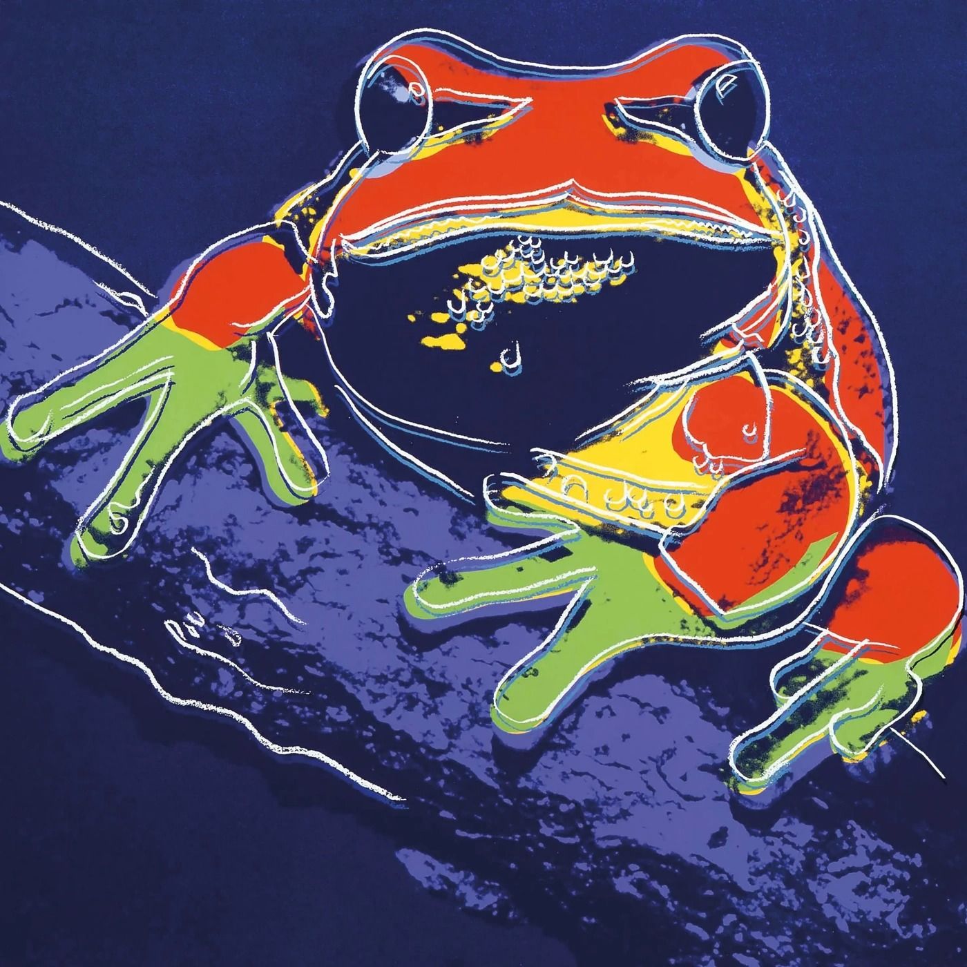 PINE BARRENS TREE FROG (FS II.294) by ANDY WARHOL