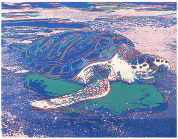 TURTLE FS II.360A by Andy Warhol