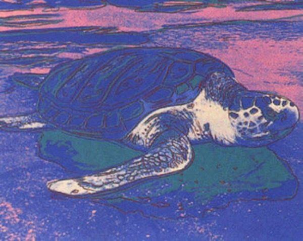 Sea Turtle by Andy Warhol