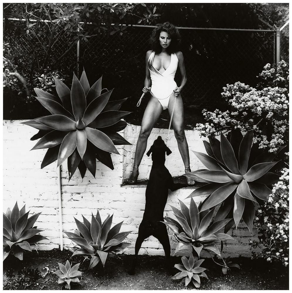 Raquel Welch by Helmut Newton