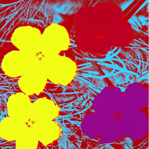 Flower 71 By Andy Warhol