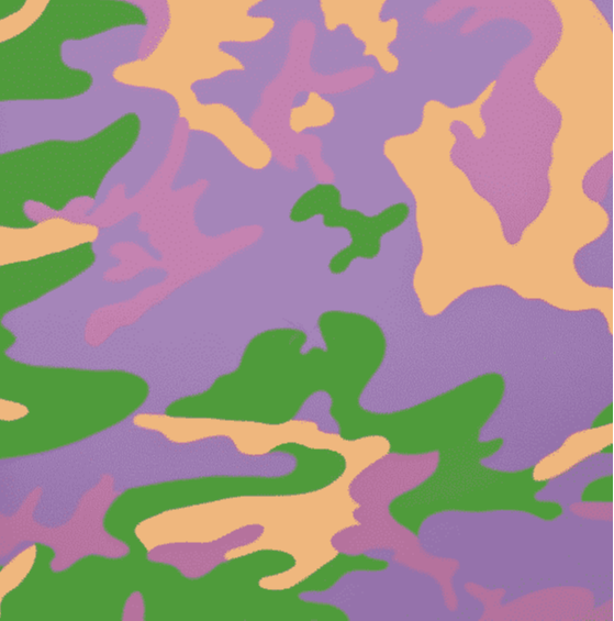 Camo TP Purple By Andy Warhol