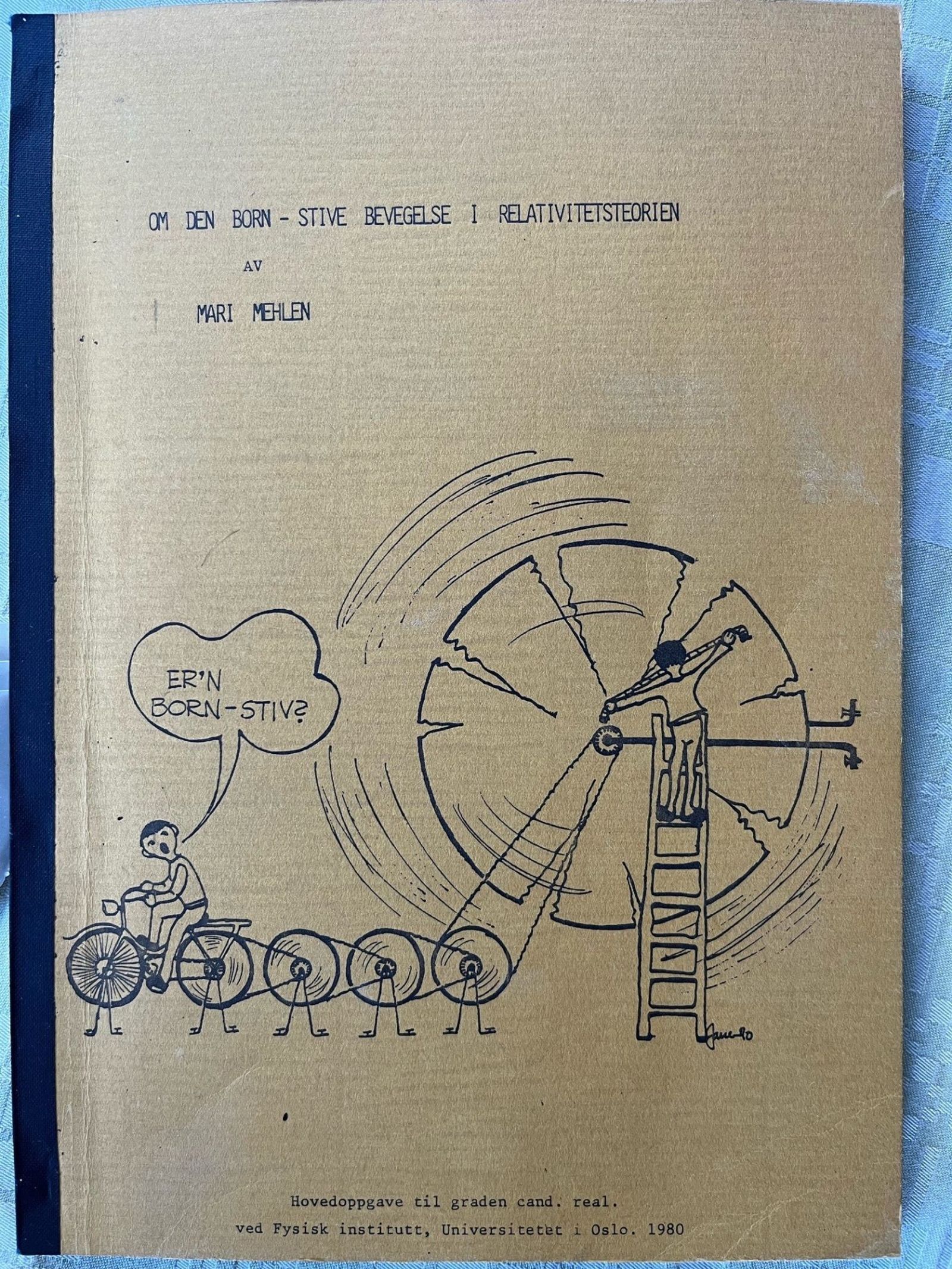 Mari Mehlen master thesis