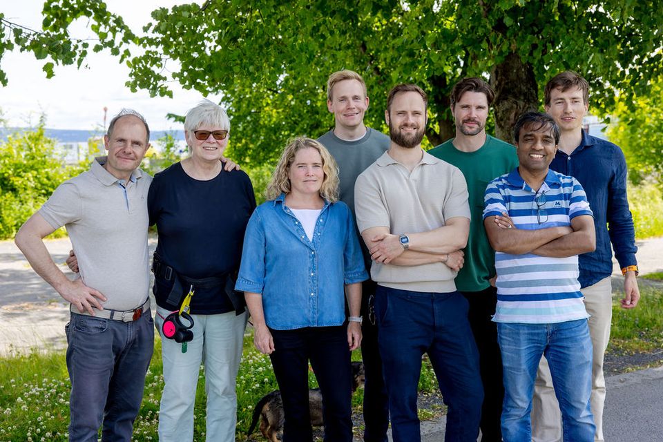 The Vulkan Engineering team standing together outdoors on a summer day