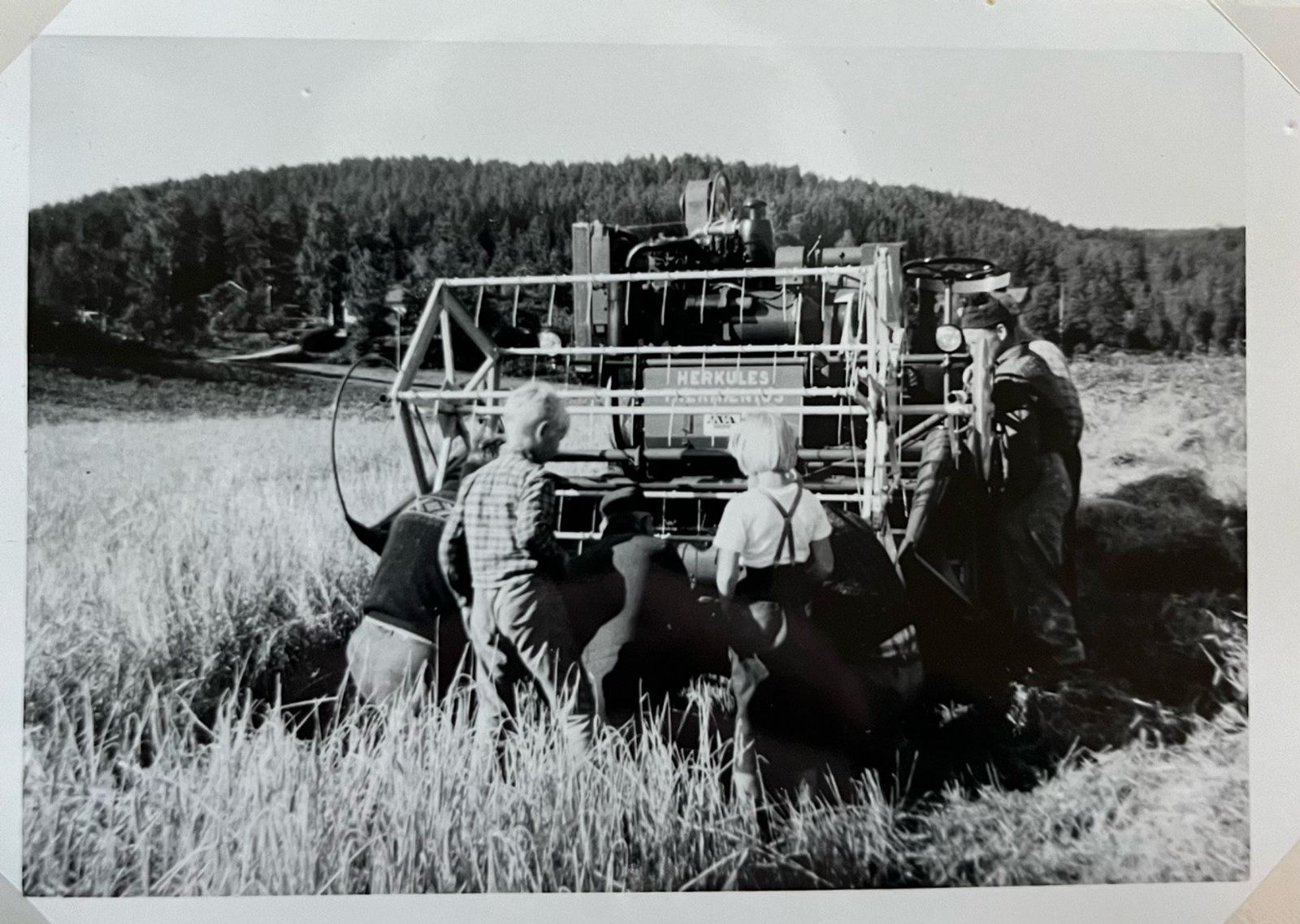Mari Mehlen growing up on farm
