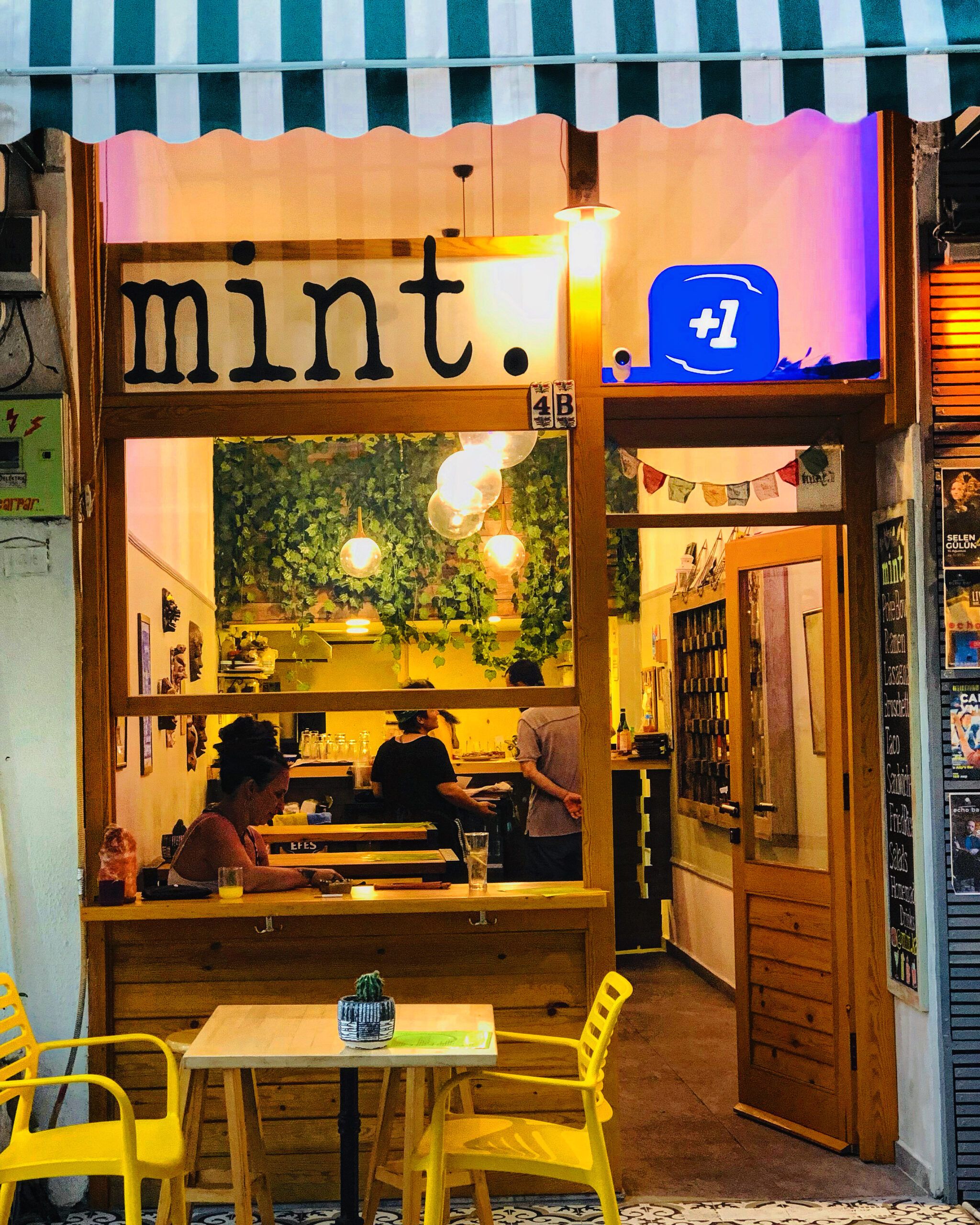 Mint 1