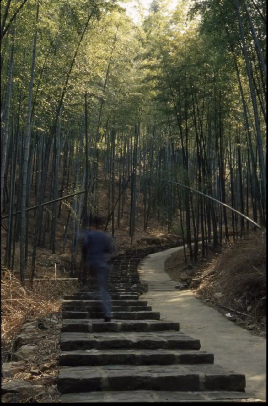 Hu Yun: Mount Analogue | Rockbund Art Museum 上海外滩美术馆